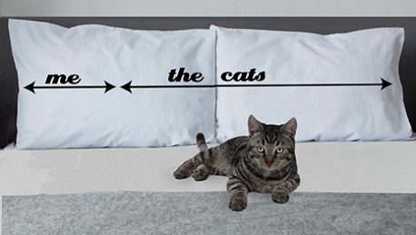 Avec ces oreillers, le territoire de chacun est clairement délimité … Source : https://www.etsy.com/fr/listing/248332819  