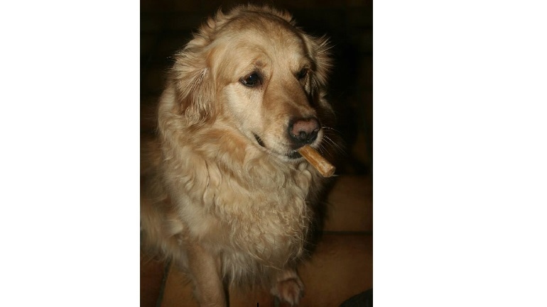 Photo de trnder criziewiezie