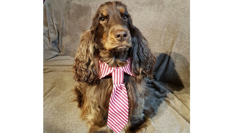 Photo de trnder Pierrot1