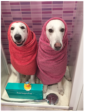 4) Prendre des photos plus originales en mettant en avant hansgrohe avec PowderRain