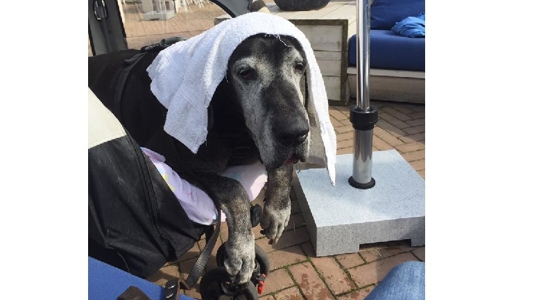 Foto door trnd-partner angelke82