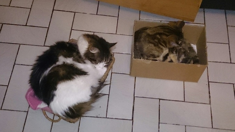 Foto door trnd-partner dibra9230