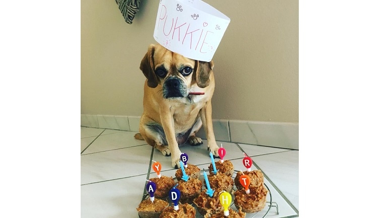 Foto door trnd-partner Sarientje