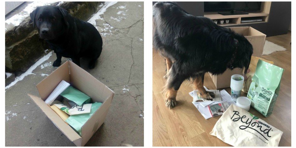 Všichni se nadšeně pustili do rozbalování :)