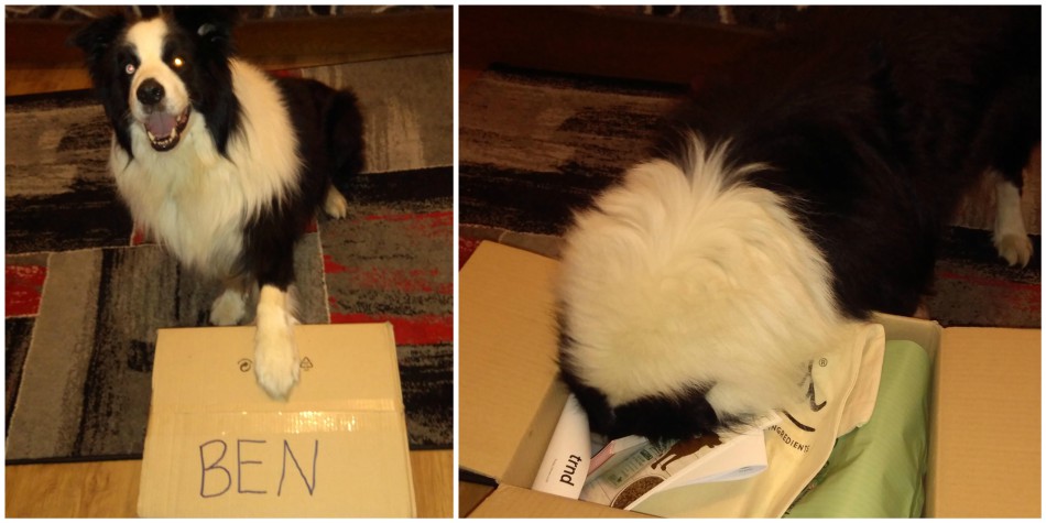 Ben se hned vrnul do prozkoumávání balíčku