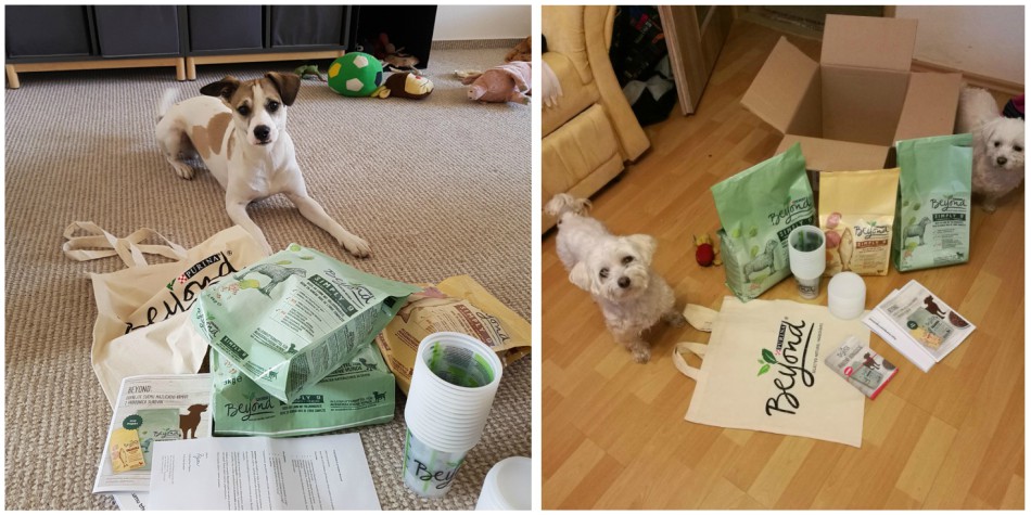 Papání dorazilo. Tak snad bude chutnat!