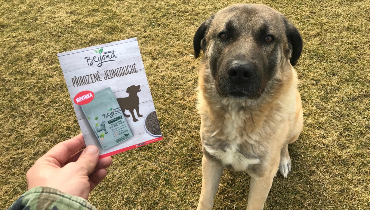 trnd partner sisulqa a první ochutvnávka. Vyražte také ven předat vzorečky!