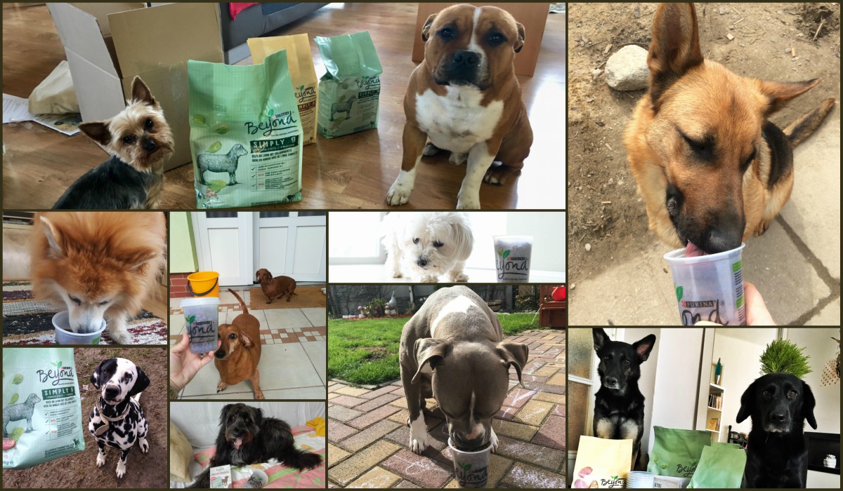 ...a proběhlo bezpočet ochutnávek!:)