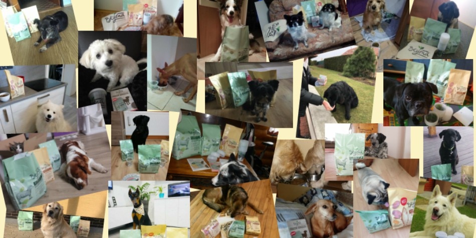 Výběr fotografií od našich trnd-partnerů