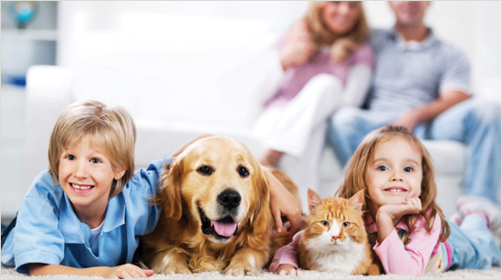 Díky optimálnímu rozložení perliček v sáčku vysavače je vůně vydávána více než měsíc.