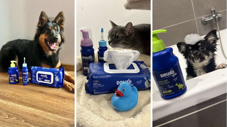 douxo-tipy-a-triky-na-posledny-post