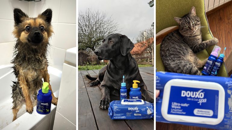 douxo-final-survey-blog