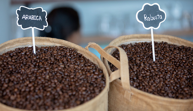 arabica-robusta