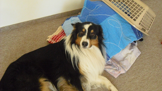 I když se vůně nedá vyfoti, dá se zachytit to, jak se líbí ostatním! :-)