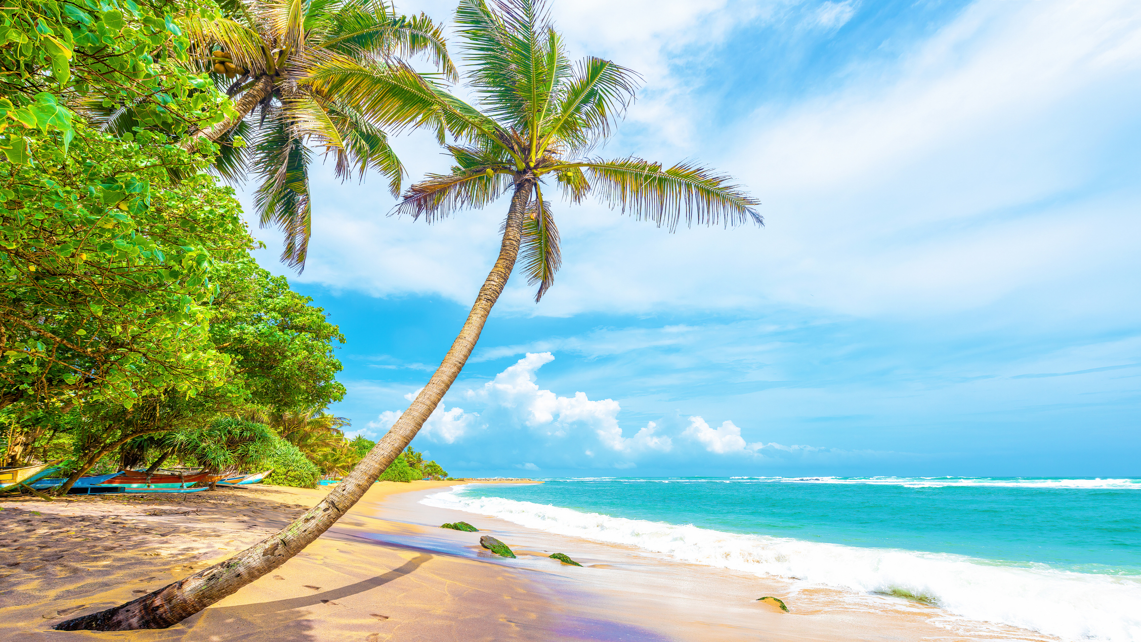 coconut_beach
