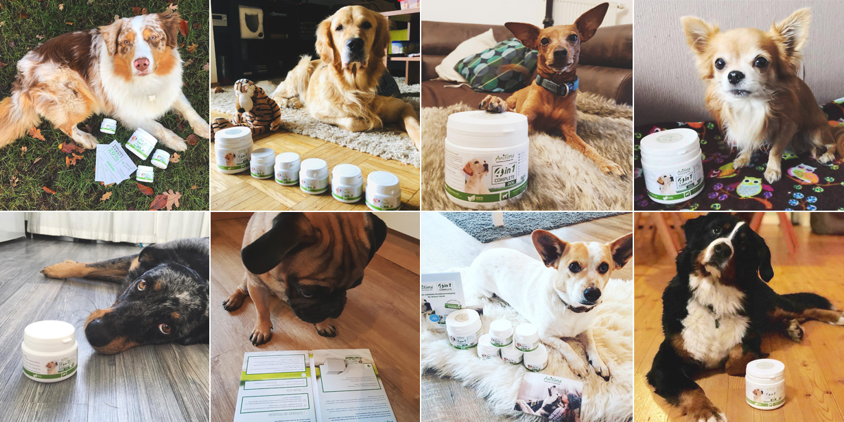 Bescherung für unsere Tiere – mit AniForte