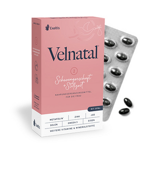 Schwangerschaft stillen