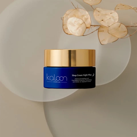 TEAM 2: Sleep Cream Night Plus