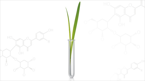 Rhealba(r) Jungpflanzenextrakt.