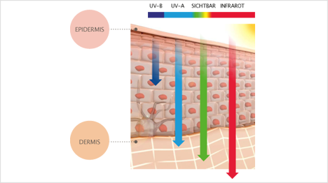 Manche Sonnenstrahlen dringen tiefer in die Hautschichten vor als andere.
