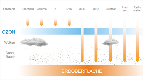 Diese Strahlen der Sonne erreichen die Erde und auch unsere Haut.