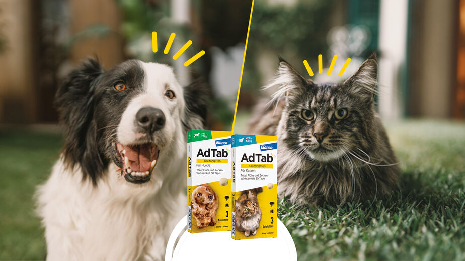 AdTab Kautabletten für Hunde und Katzen