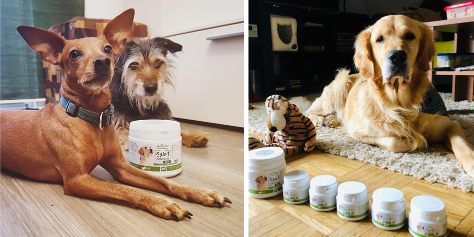 AniForte®: Erste Fütterungen.