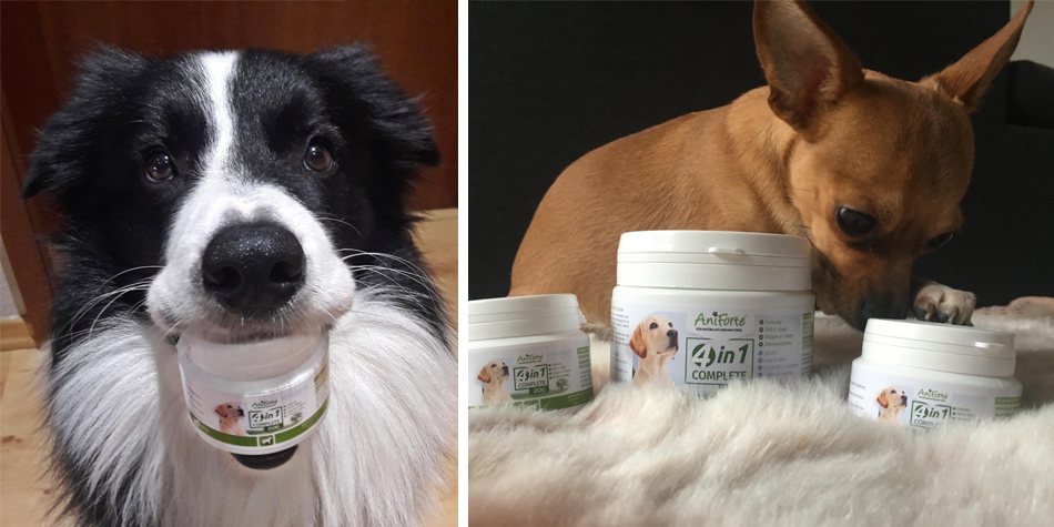 AniForte®: Lebensqualität füttern.