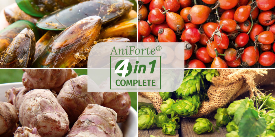 So helfen die hochwertigen Inhaltstoffe den Fellnasen: