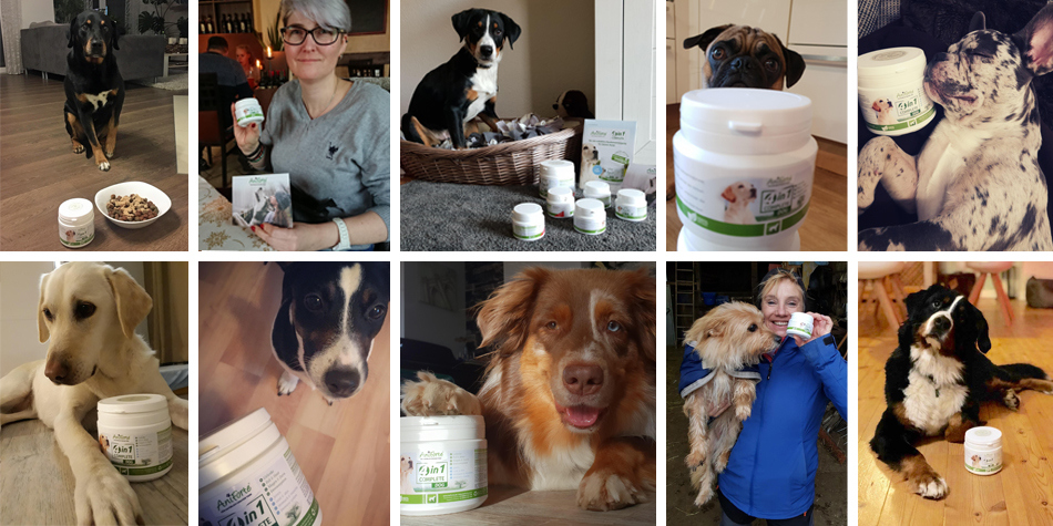 AniForte®: Unser Fazit.