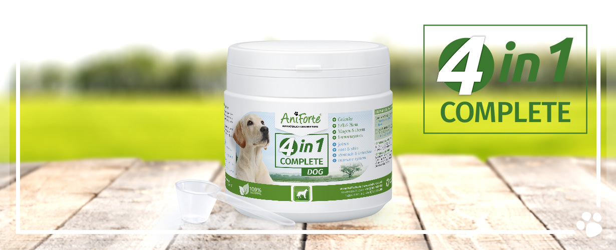 AniForte® 4in1 Dog Complete versorgt Deinen Hund mit wichtigen Mineralstoffen, Spurenelementen, Vitaminen und Antioxidantien – ohne künstliche Zusätze.