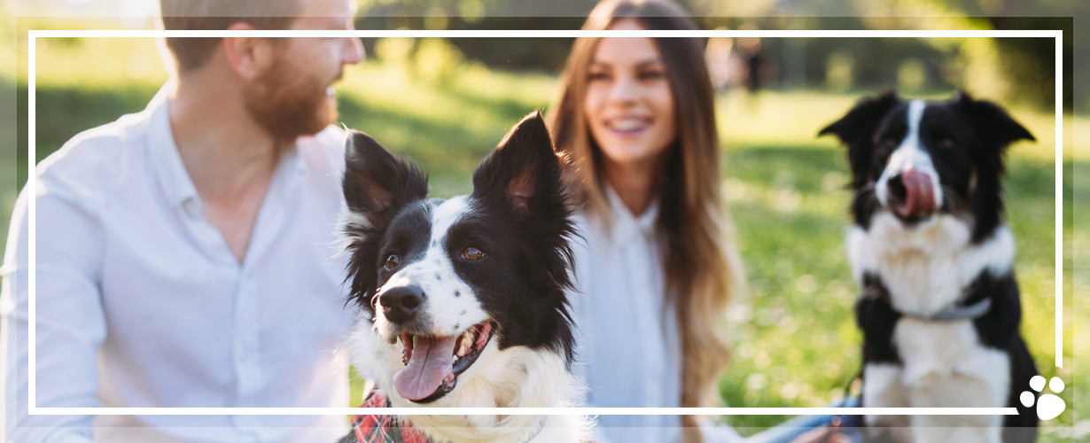 Probiere als einer von 1.000 trnd-Partnern das hochwertige Futterergänzungsmittel aus und teile Deine Erfahrungen mit allen Interessierten in Deinem Umfeld und dem Internet.