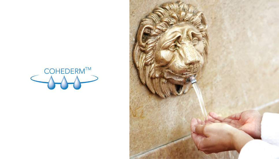 Neben 77 % Thermalwasser setzt Eau Thermale Avène den Aktivstoffkomplex Cohederm™ ein, der die Wasserreserven der Haut wieder auffüllt. 