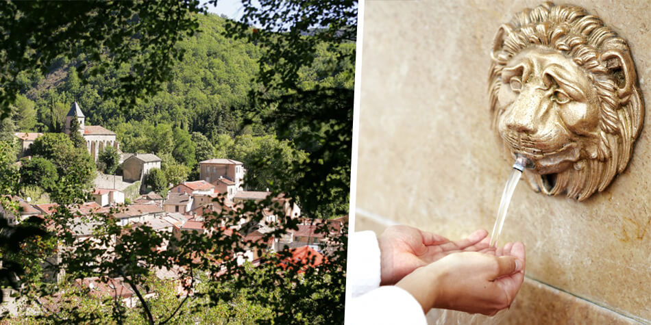 Sonnenfluid SPF50+: Es begann mit einem Pferd.