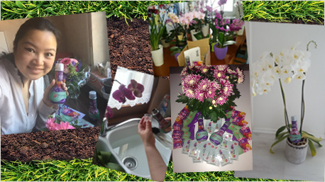 ...an unseren Pflanzen ausprobiert...