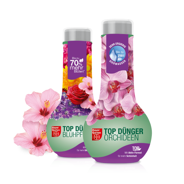 Bayer Garten TOP DÜNGER