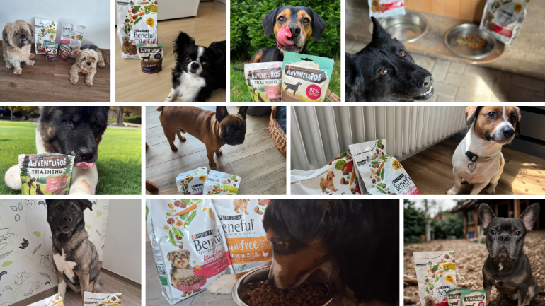 BENEFUL & AdVENTuROS