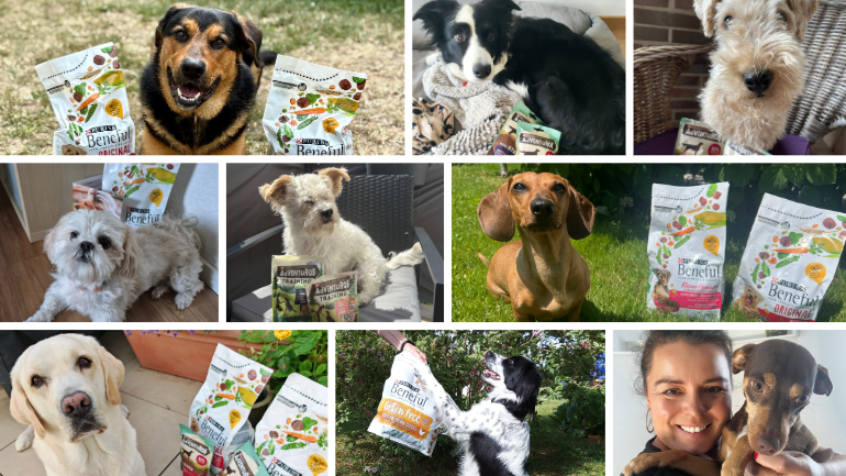 BENEFUL & AdVENTuROS