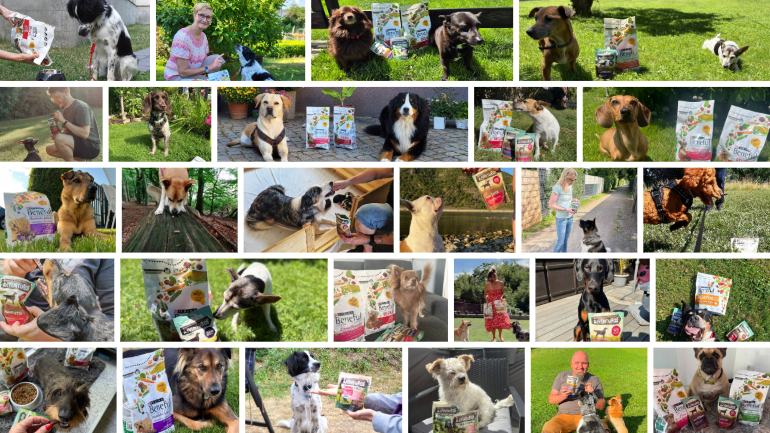  Beneful & AdVENTuROS 2025