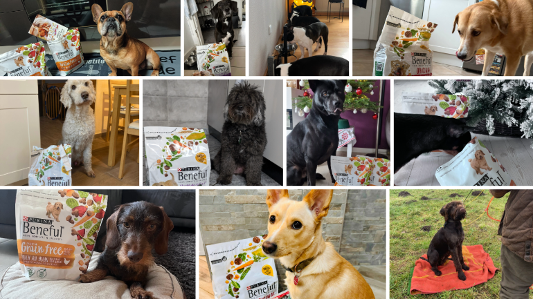 BENEFUL & AdVENTuROS