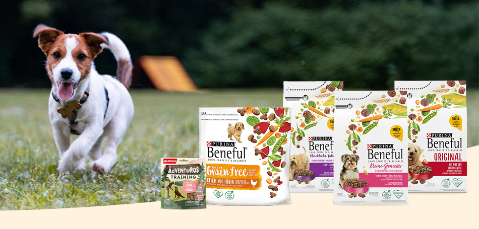 Willkommen zum Projekt mit BENEFUL & AdVENTuROS Training