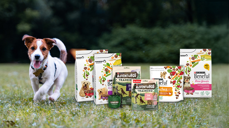 Bewirb dich für das trnd-Projekt mit Purina