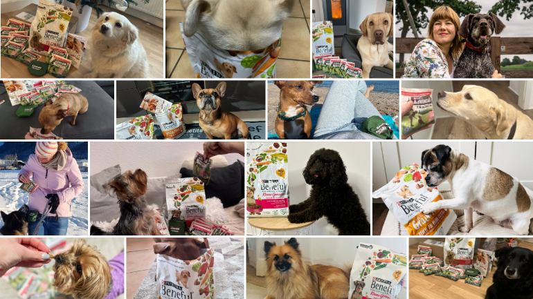  Beneful & AdVENTuROS