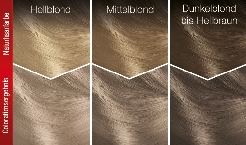 816 Kühles Aschblond Coloration