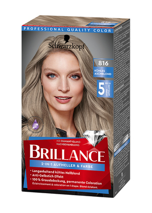 816 Kühles Aschblond Coloration