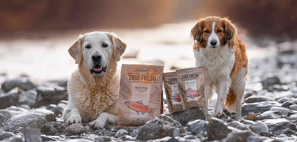 Carnilove True Fresh