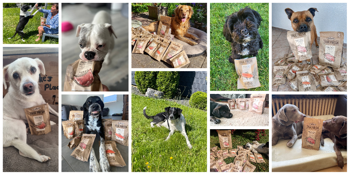  Carnilove True Fresh