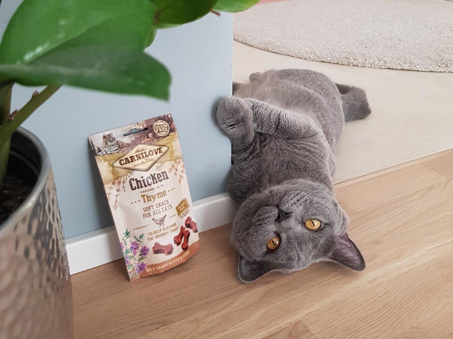 Foto übermittelt von trnd-Partnerin 439Kamo439