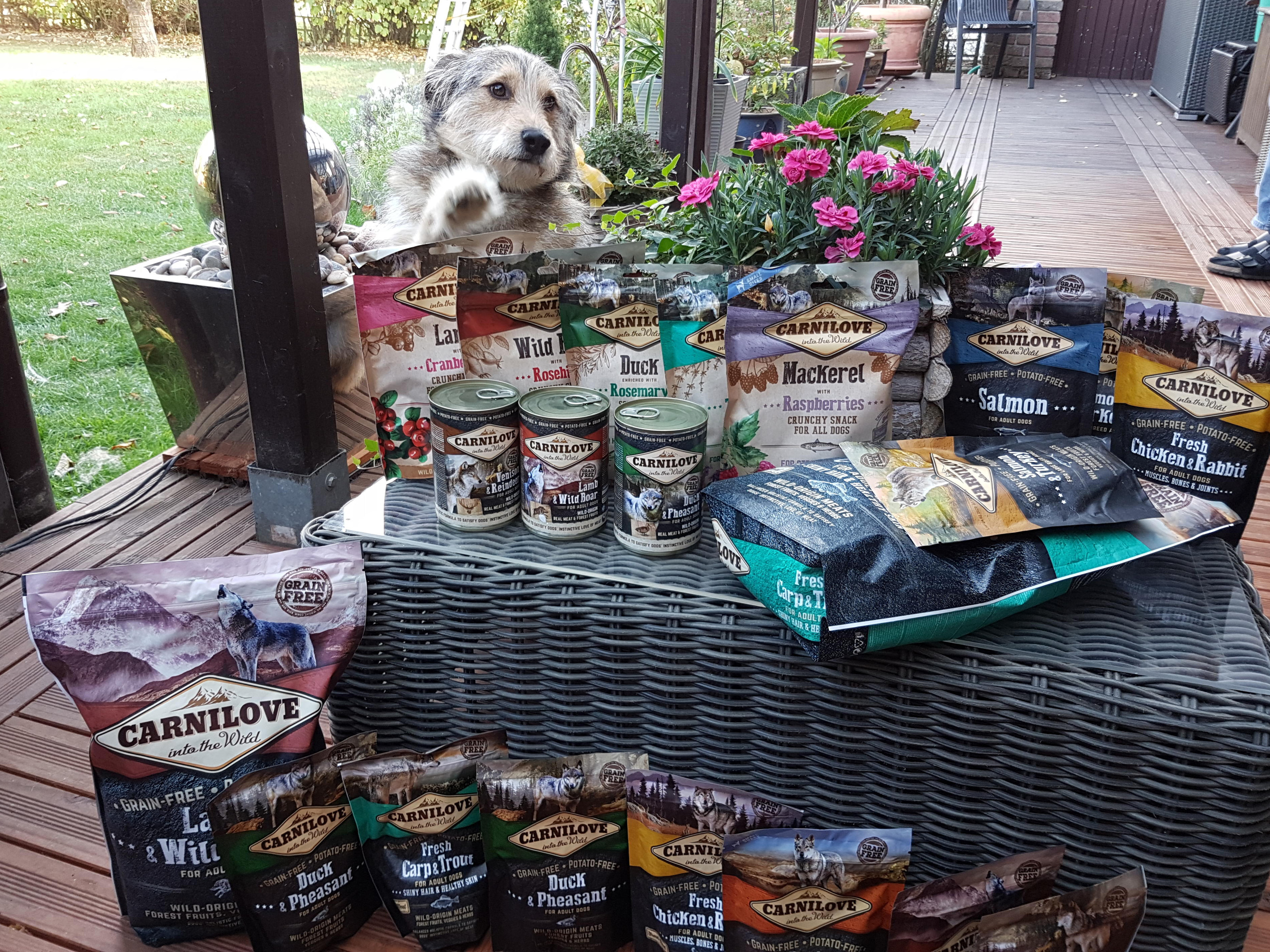 Foto übermittelt von trnd-Partnerin carinavalo