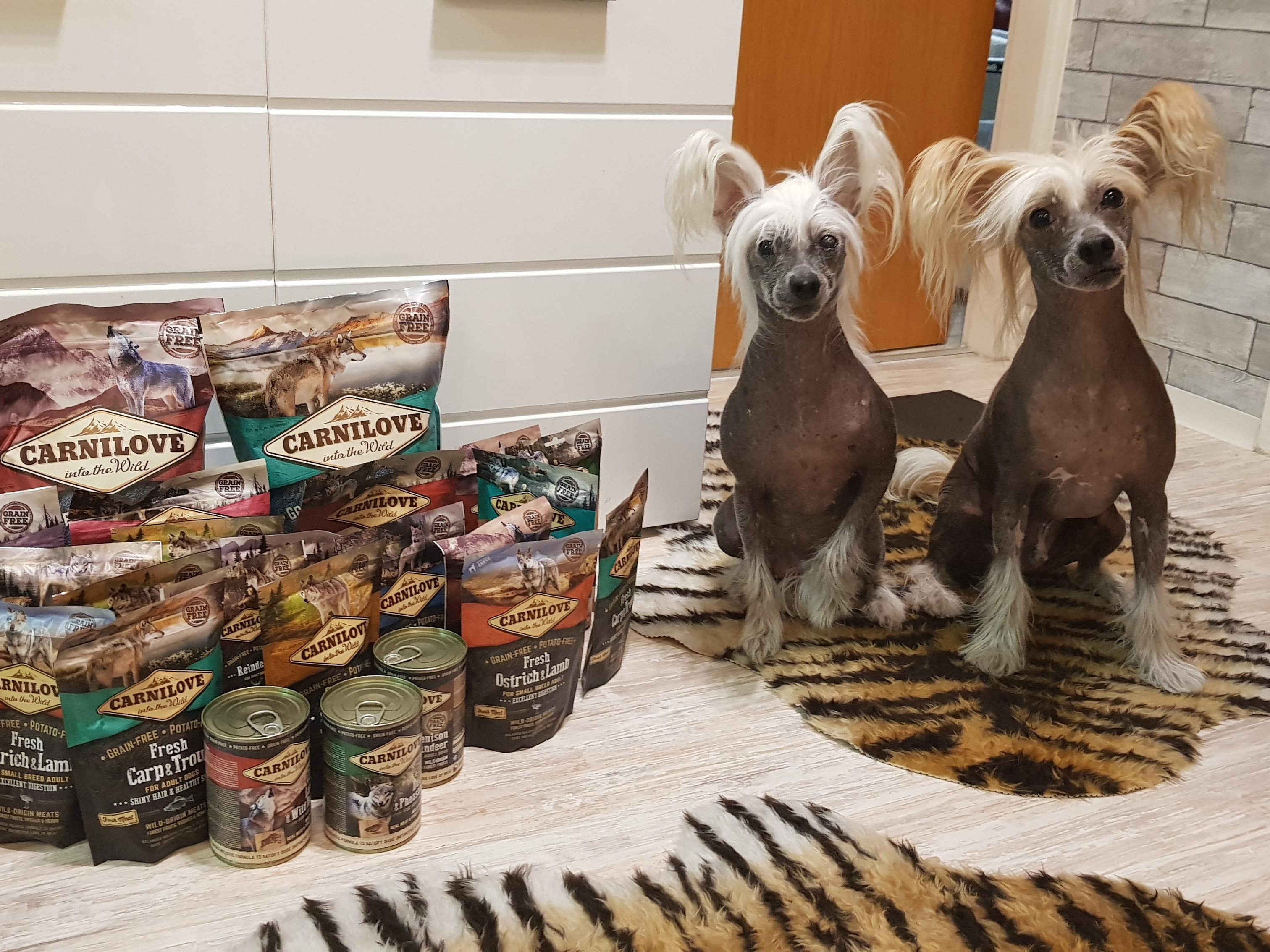 Foto übermittelt von trnd-Partnerin Lasoa1